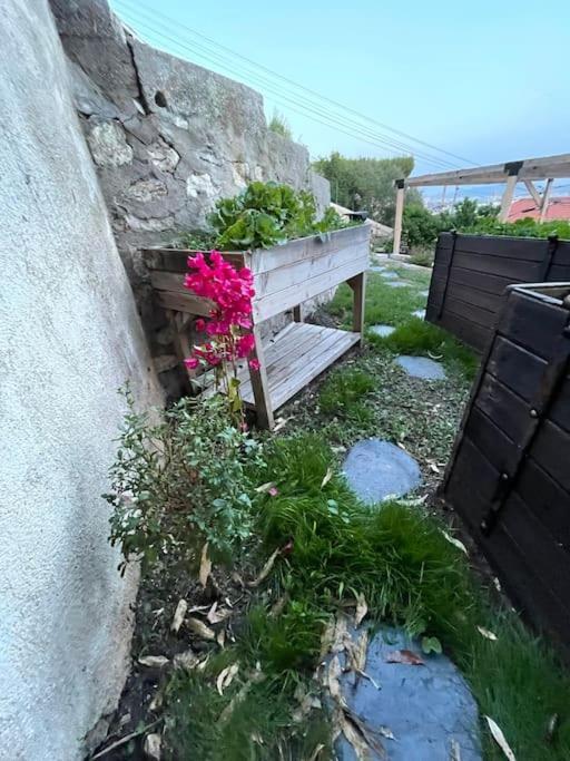 Superbe Terrasse Avec Vue Panoramique Sur La Mer Μασσαλία Εξωτερικό φωτογραφία