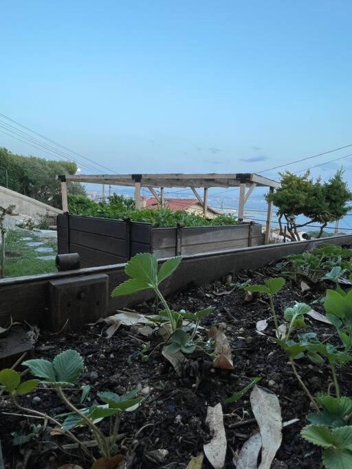 Superbe Terrasse Avec Vue Panoramique Sur La Mer Μασσαλία Εξωτερικό φωτογραφία