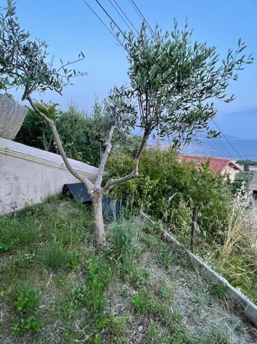 Superbe Terrasse Avec Vue Panoramique Sur La Mer Μασσαλία Εξωτερικό φωτογραφία